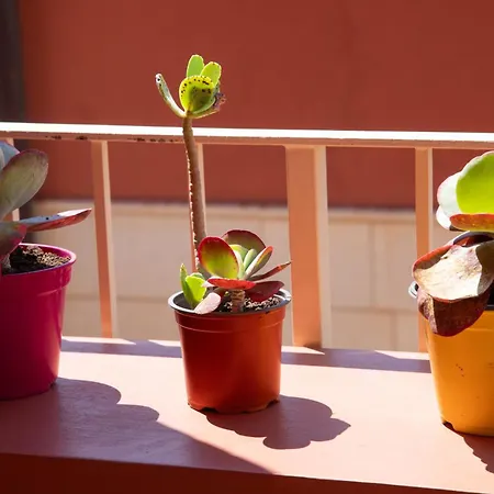 Apartment Vista Mare 16 *